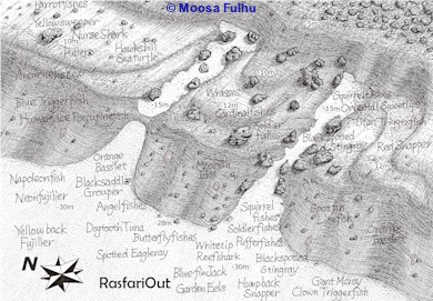 Rasfari Out